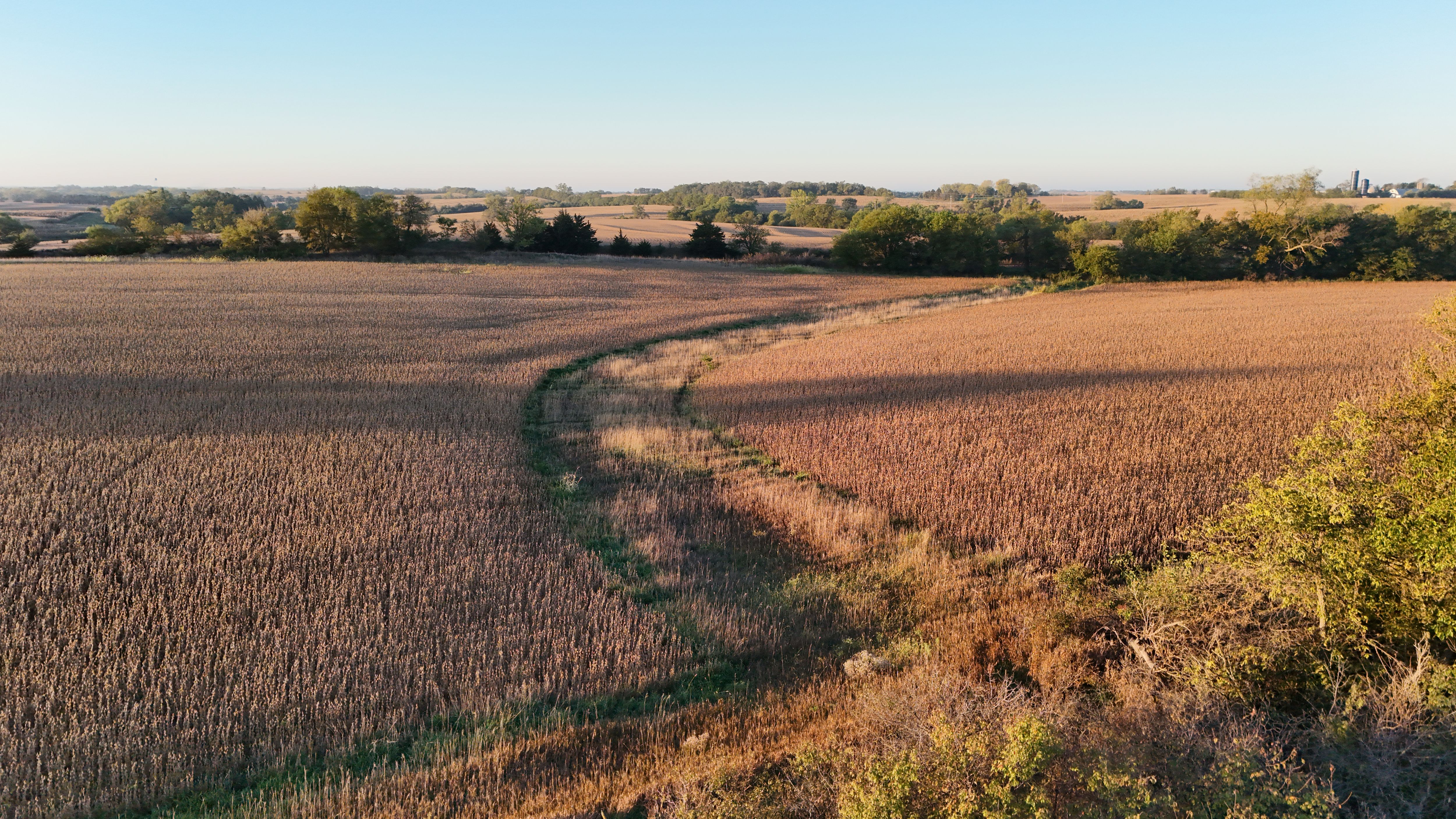 Listing Photo: lancaster-county-ne-125-acres (10)